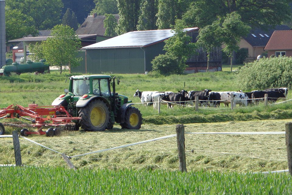 Rüdiger Hümpel | Alpaka-Wandern.de